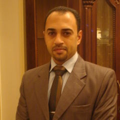 محمد فارس, استاذ مساعد دكتور 