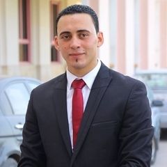 محمد عيد عبدالرازق الشراكى, dot net developer 