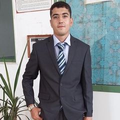 مصطفى عثمان, Structural Engineering Consultant