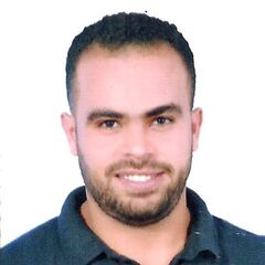 محمود سالم, محاسب عام