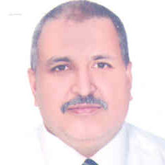 Sherif Fawzi, Budget Controller