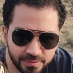 محمود العناني, Project sales engineer