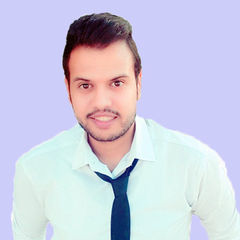  احمد صلاح عبد الحميد مهدي, Project Manager