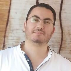Hossam Hassan, Senior Accountant