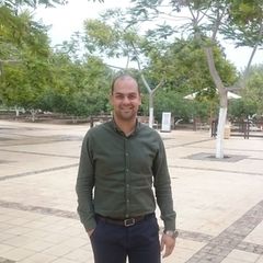 Mohammed  El Negily , Senior Network Engineer