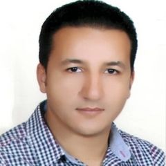 Mohamed Mohamed Abdalziz Elsayed