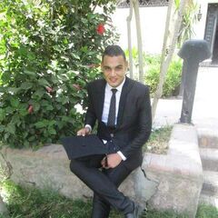 Ahmed Farouk Fouad