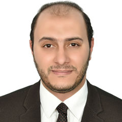 أحمد عادل عبد الغني العيسوي, Financial Controller