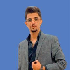 مالك يوسف, IT Project Manager