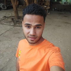 Hussam Mohamed Ahmed