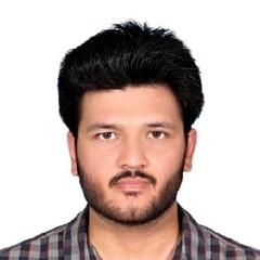 Syed Haseeb Ul Hassan