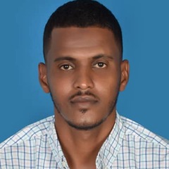 abdelrahman Bashir, Senior human resource officer