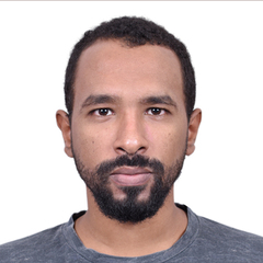 هشام محمد, Programmer