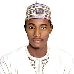 Usman Sale Aminu