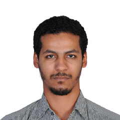 Bushra ElShinnawi, Senior VSAT Engineer - Aramco Contractor
