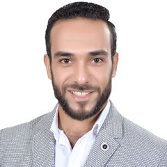 Ahmed Mohamed Abdelalim Mohamed, Deputy project manager