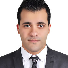 Amr Adry, Sales Advisor