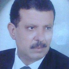 Mohamed fahmi esmail ezz, محامي حر