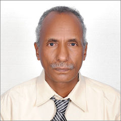 El Gizouli Ahmed Hamid Abdulrahman, (GRAS), senior geologist