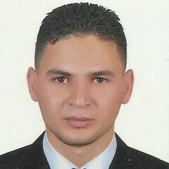 Ahmed Ali Elsayed Hassan, Chief Accountant