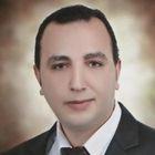 حسام احمد فؤاد مصطفى الجندى, Genral supervisor  الديوان الاميرى