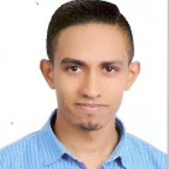 Mohamed Ramadan, Software Developer