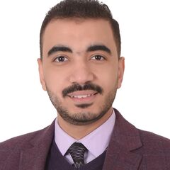 محمد اشرف محمد رضا, Management Consultant