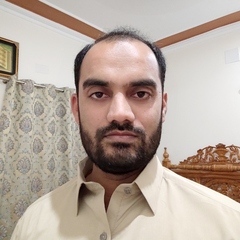 Muhammad Amir Ramzan, Software Architect