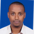Binyam Gessesse, Project manager/Network Administrator