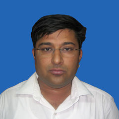 Nitin Sirohi, MEP Project Manager