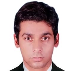 Salman Hussain, sales executive