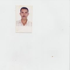 profile-احمد-حسن-30023586