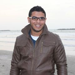 محمد عبد الحميد السعيد عطية, accountant