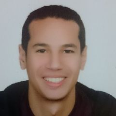 ibrahim mohamed ahmed darwish darwish