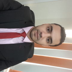 mahmoud elgendy, accountant