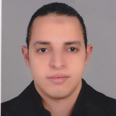 Mahmoud Ragab, Chief Accountant