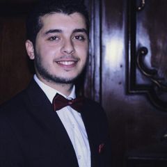 mahmoud abd elhameid abd elhameid