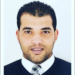 Mahmoud Ibrahim, Marketing and Sales Executive