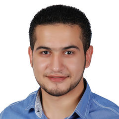 Hossam Kandil, Project Engineer