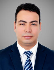 أحمد فوزي, Chief Accountant
