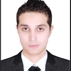 محمود ِعبدالشافى, Sales Engineer
