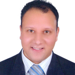 Amr Kotb, SENIOR LEGAL CONSULTANT