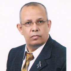 Adel  Ibrahum, Auditor