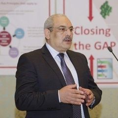 Shawki Saleh, Business System & Strategic Procurement Lead