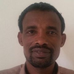 walelign Mekonnen, Operations Manager