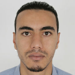 Mohamed  Elbahi, Sales Représentative
