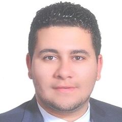 عمرو عصام, Automotive Sales Section Head 