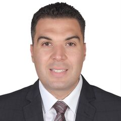 mohamed ahmed abd el kader salama, Project manager