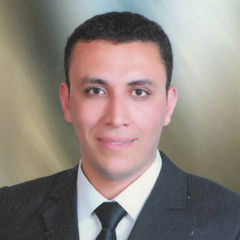 Mohamed Abdo  Elkady, محاسب عام