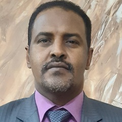 Mahmoud Yasin Mohamed Halfawi, رئيس إدارة قانونية مكلف 